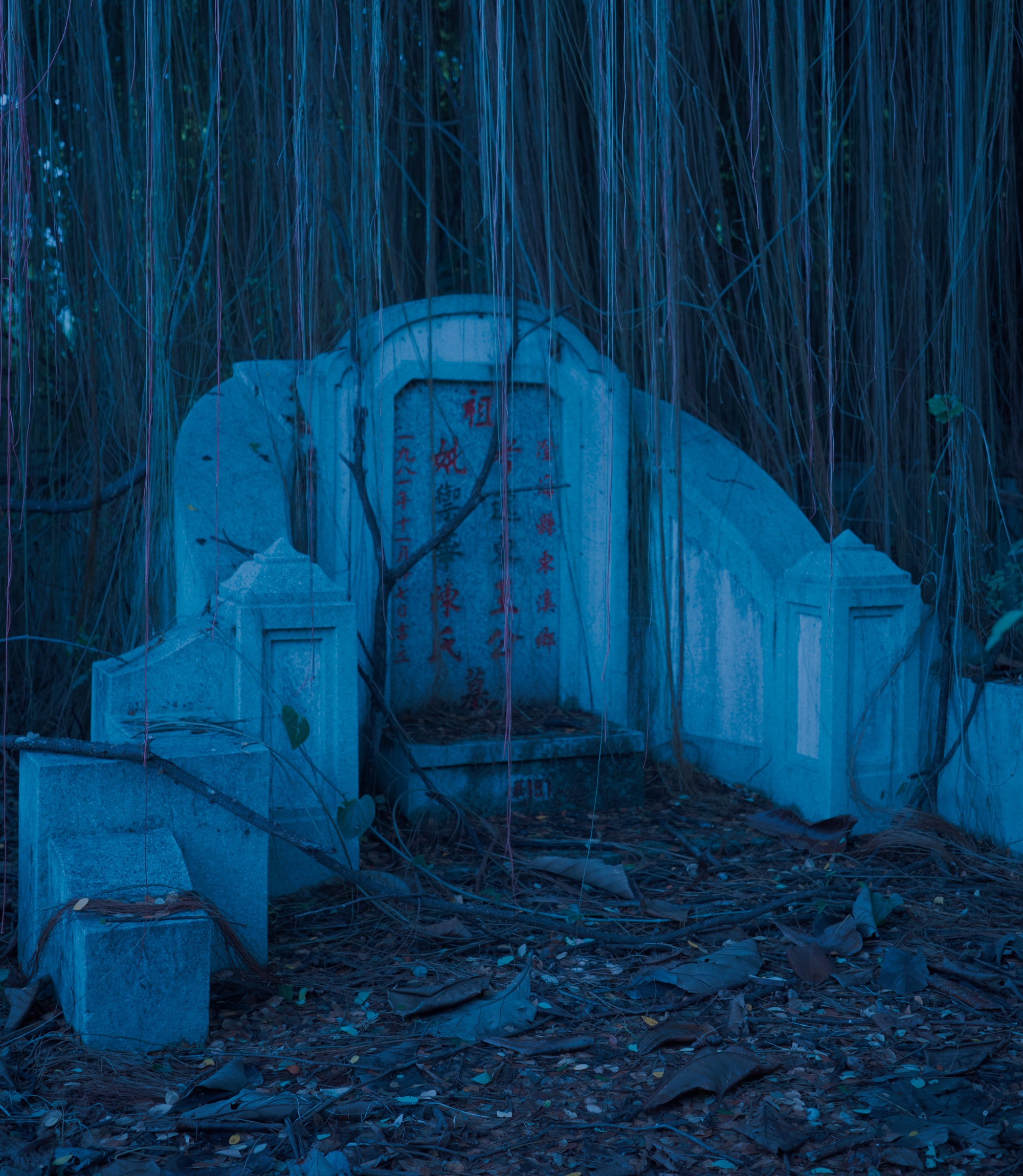 In Search of a Pregnant Ghost