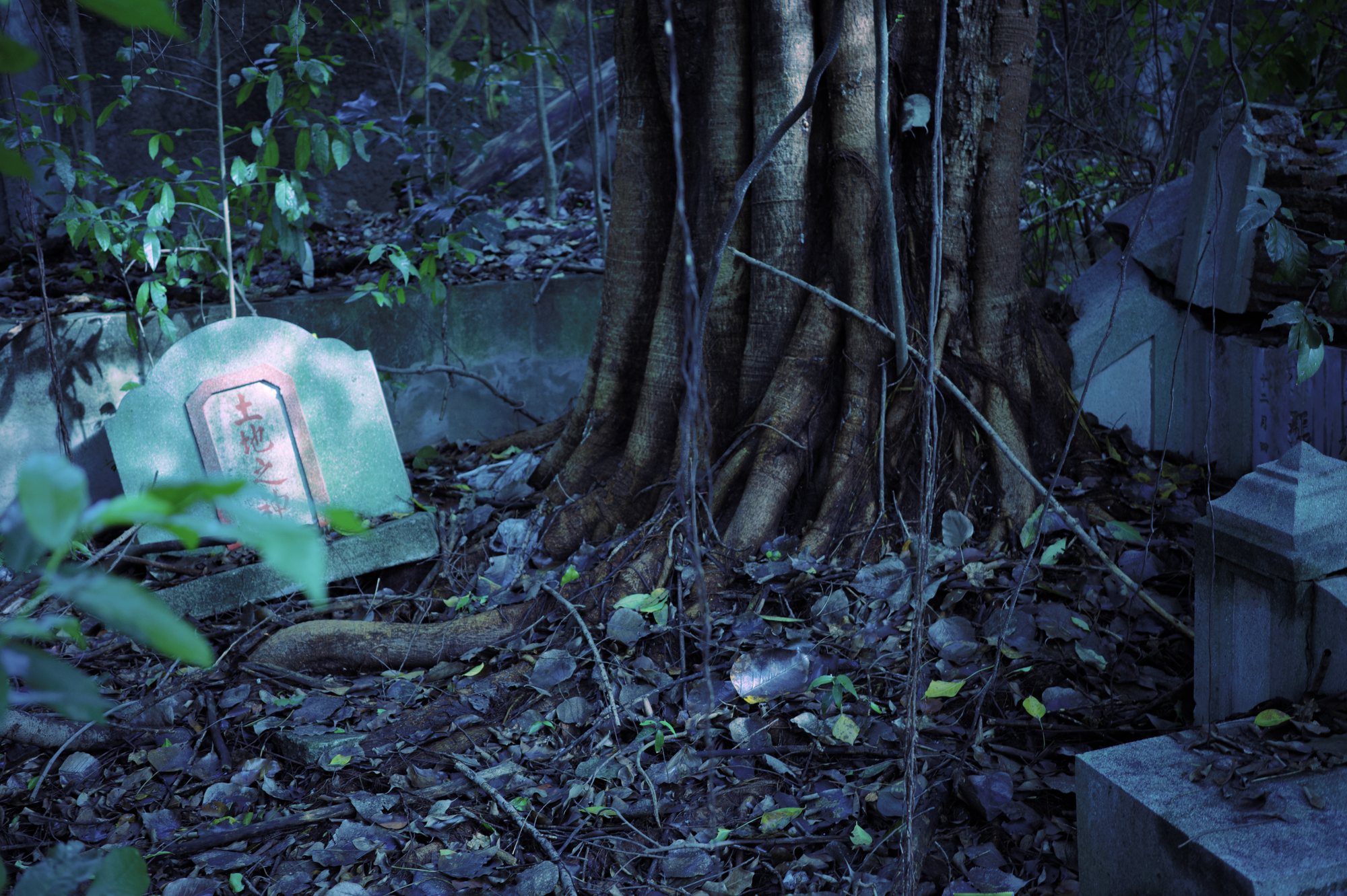 In Search of a Pregnant Ghost