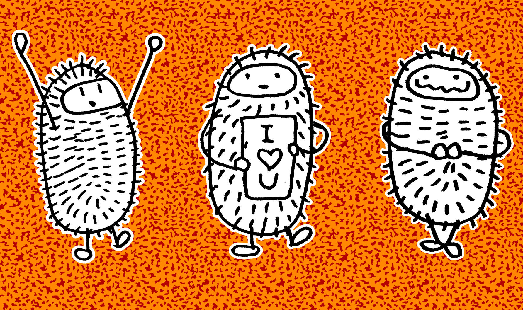 Peter. A tiny companion for a big, complicated world.