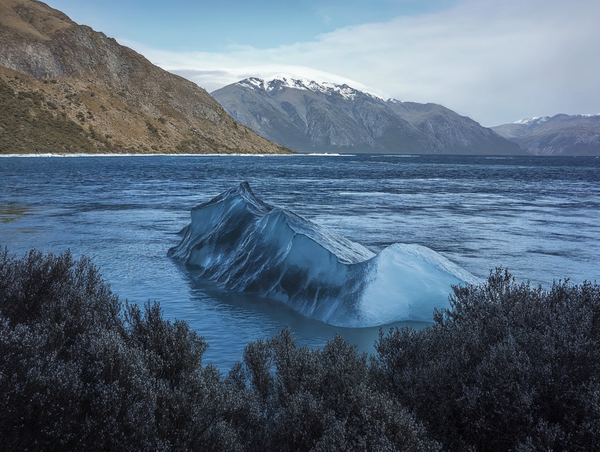 From New Zealand to Paris: Blending Nature, AI & Fashion